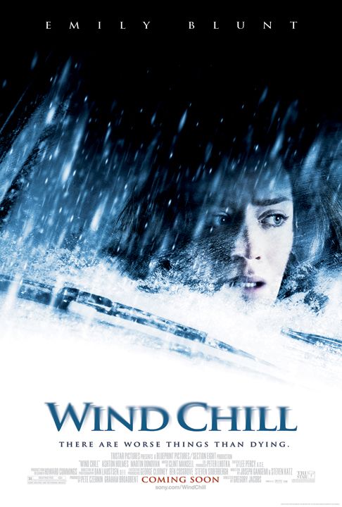 Wind Chill (2007) movie poster download